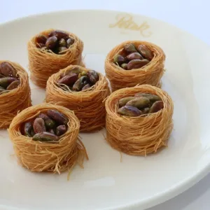 234-balli-halep-bulbulu-balli-halep-bulbulu-balli-halep-bulbulu-balli-halep-bulbul-dc126a